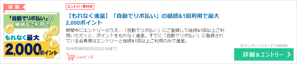 【もれなく進呈】「自動でリボ払い」の継続&1回利用で最大2,000ポイント